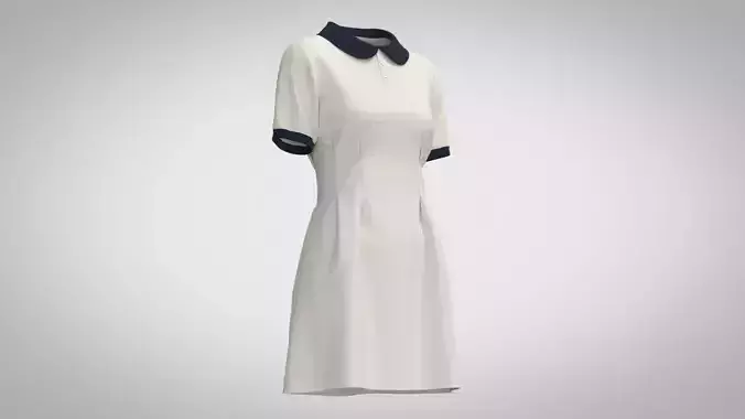 Mini A-line Dress 3D model