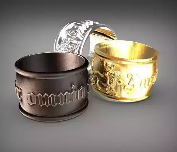 RING AMUR 3D print model