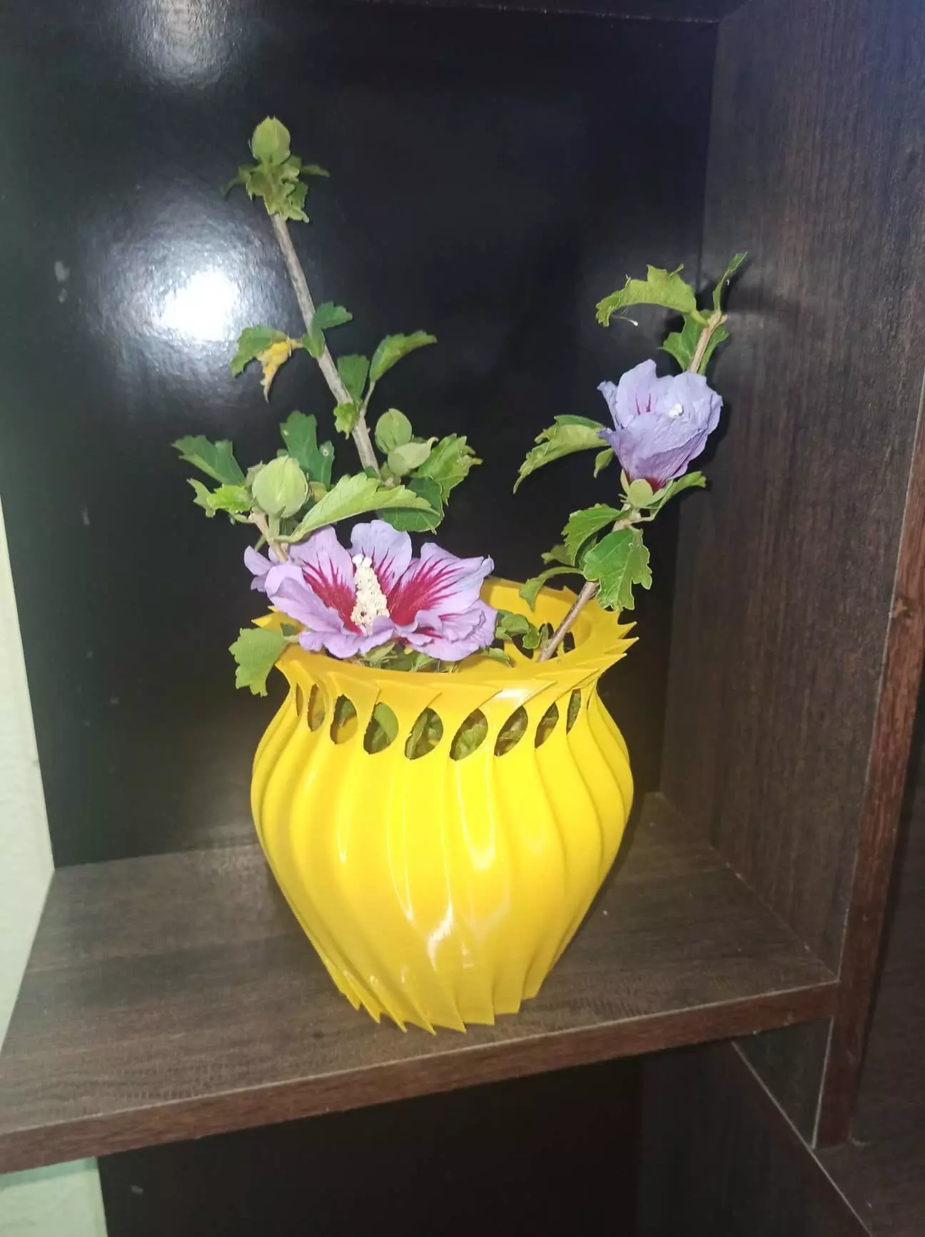 florero bowl Free 3D model