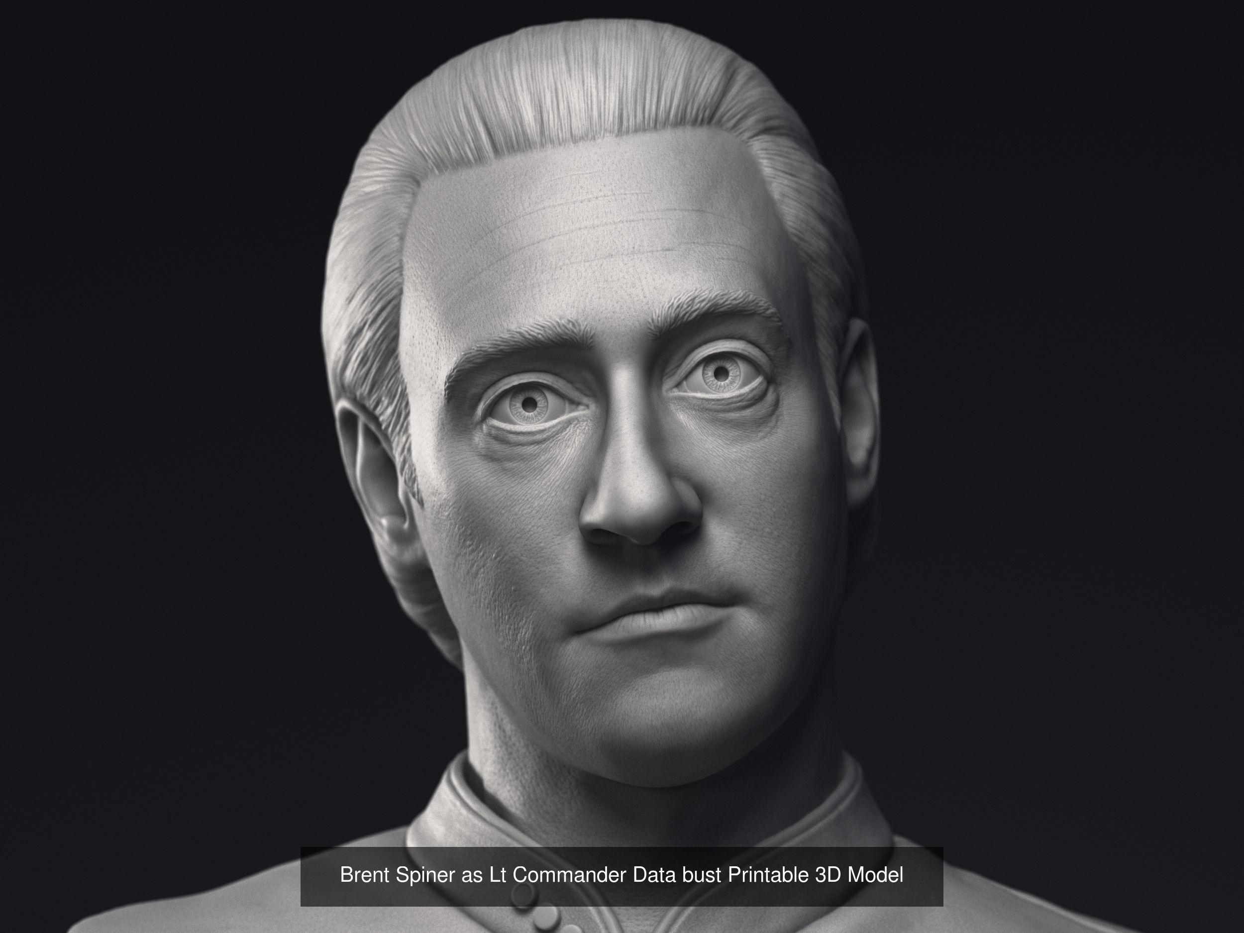 Picard and Data  3d printable bust collection _6