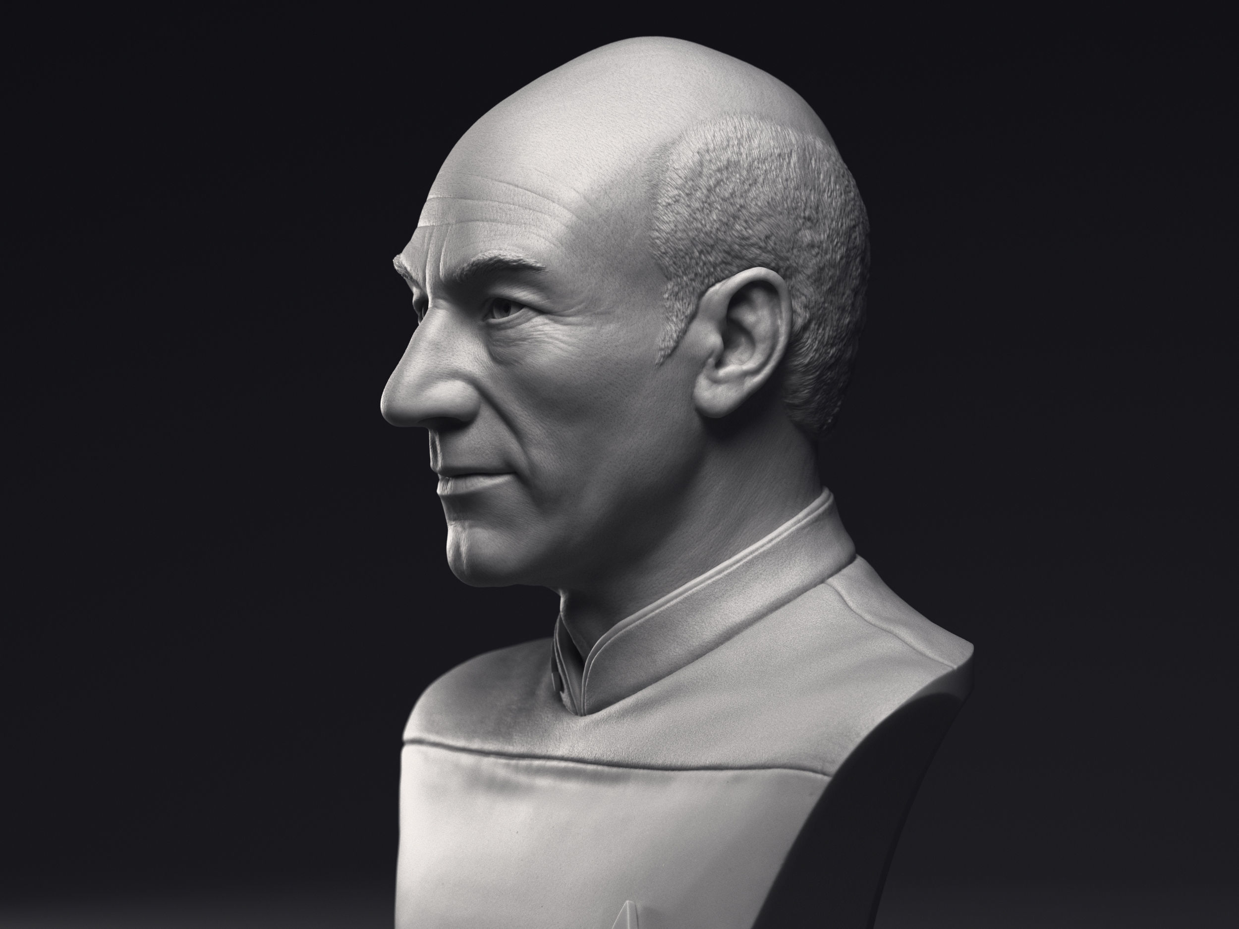 Picard and Data  3d printable bust collection _20