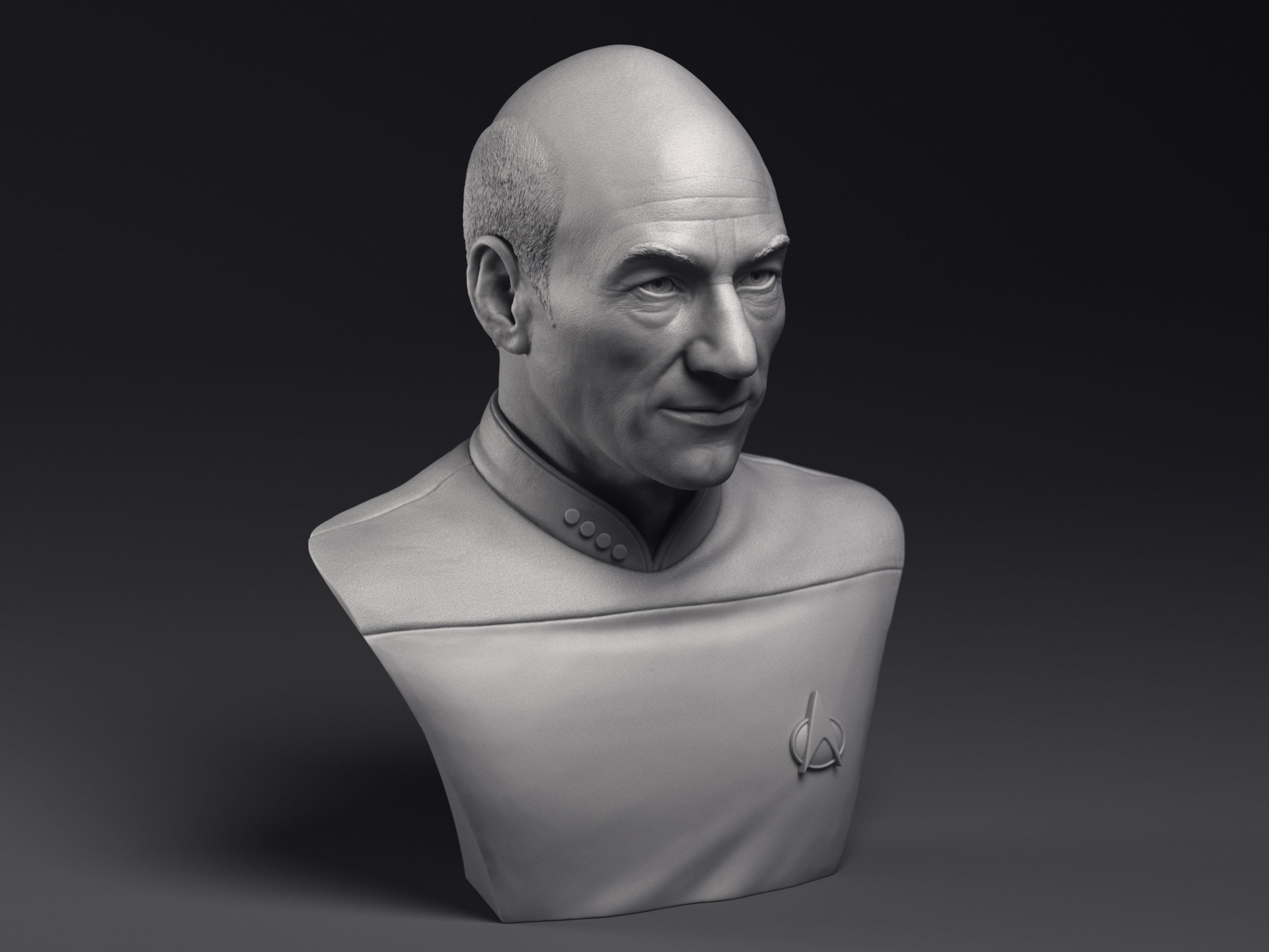 Picard and Data  3d printable bust collection _17