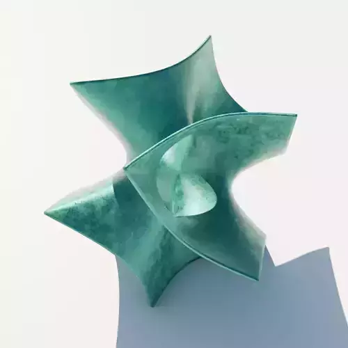 Schoens Batwing Surface 3D print model