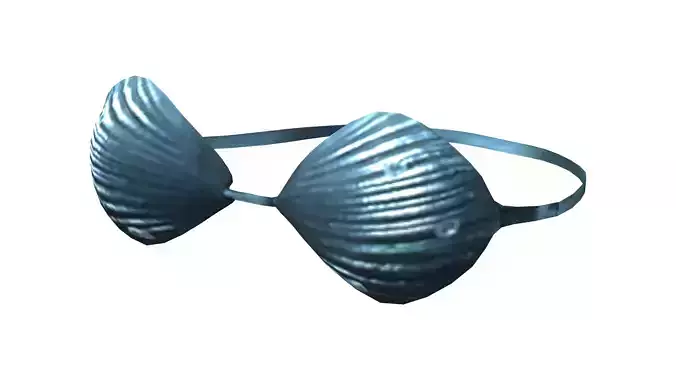 Mermaid Shell Bra