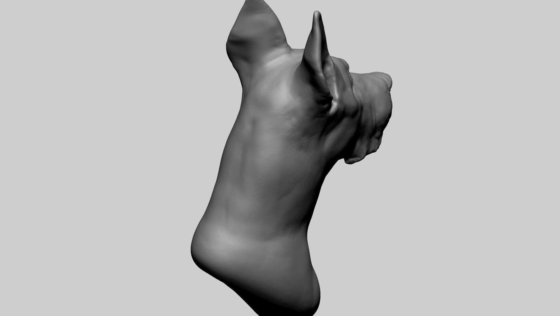 Dog Bust 3D model_3