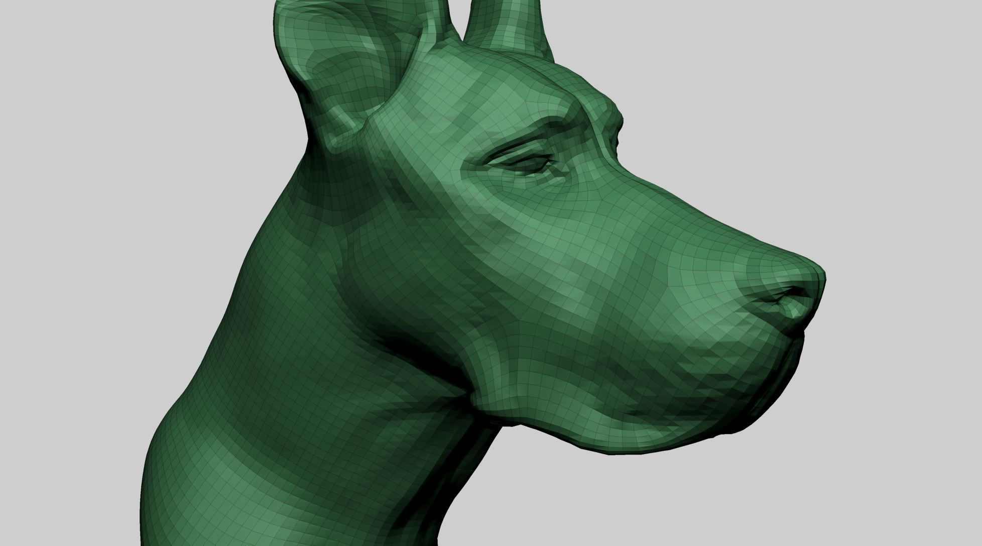 Dog Bust 3D model_10