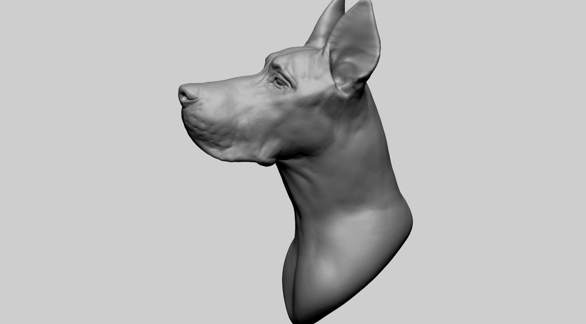 Dog Bust 3D model_6