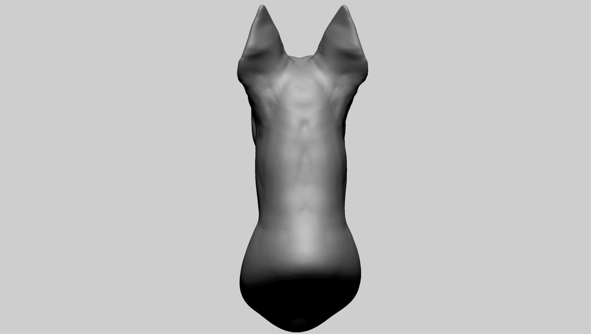 Dog Bust 3D model_4