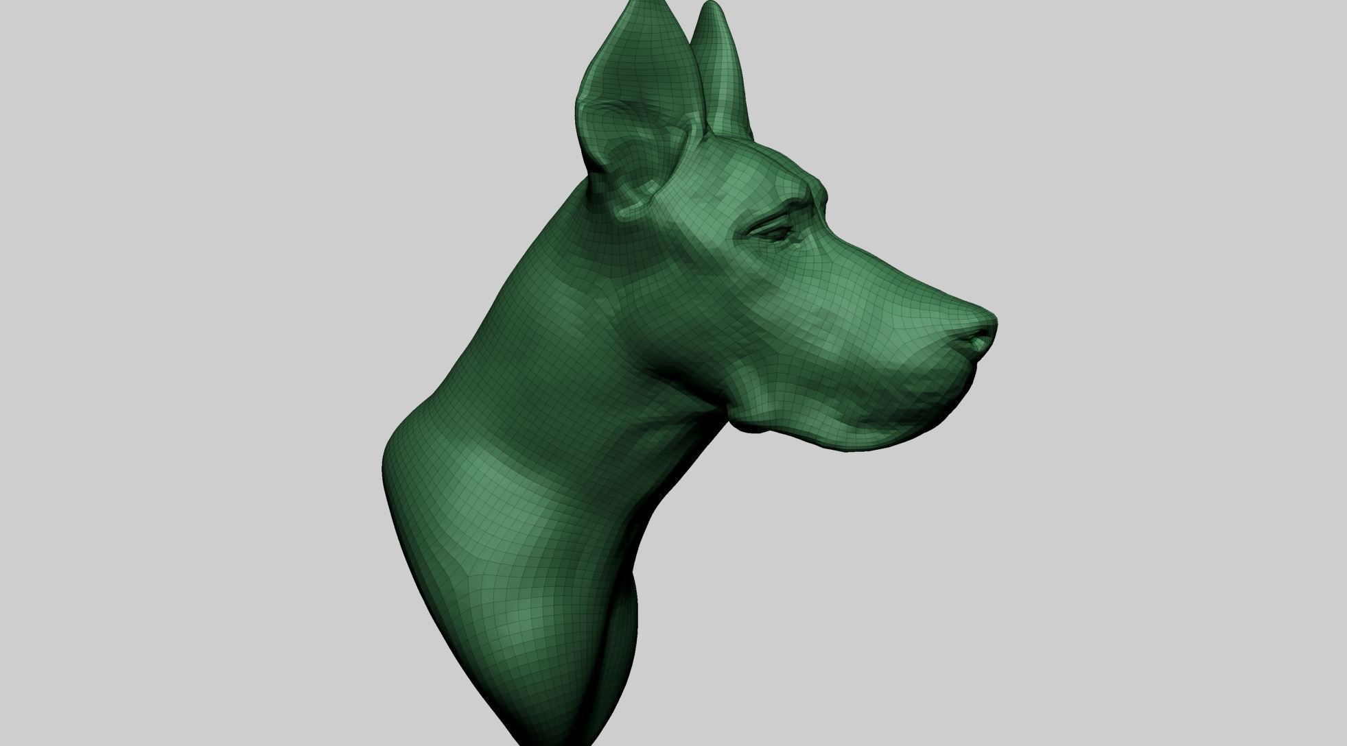 Dog Bust 3D model_11
