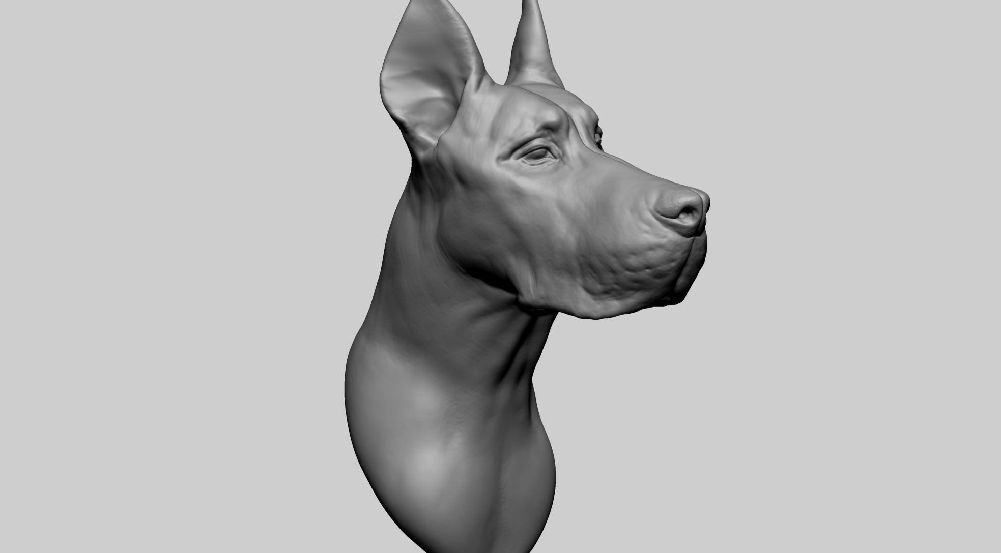 Dog Bust 3D model_1