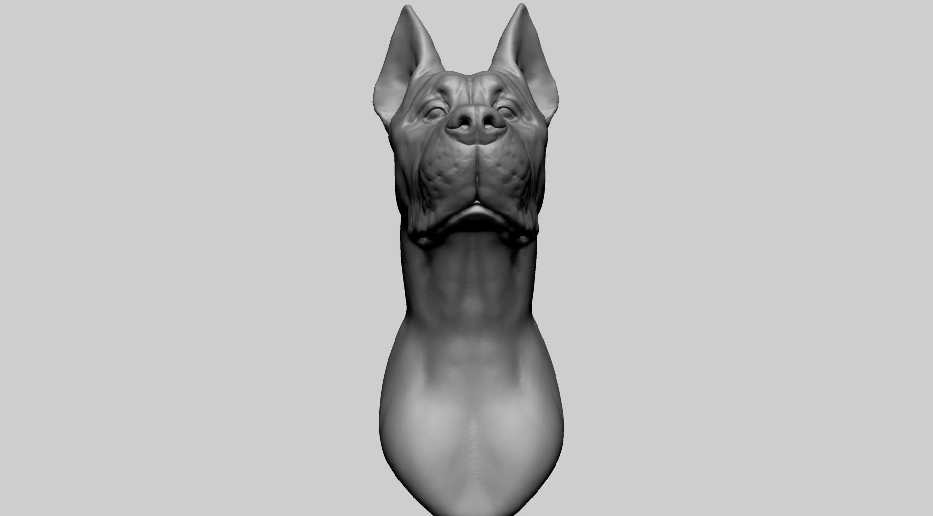 Dog Bust 3D model_7