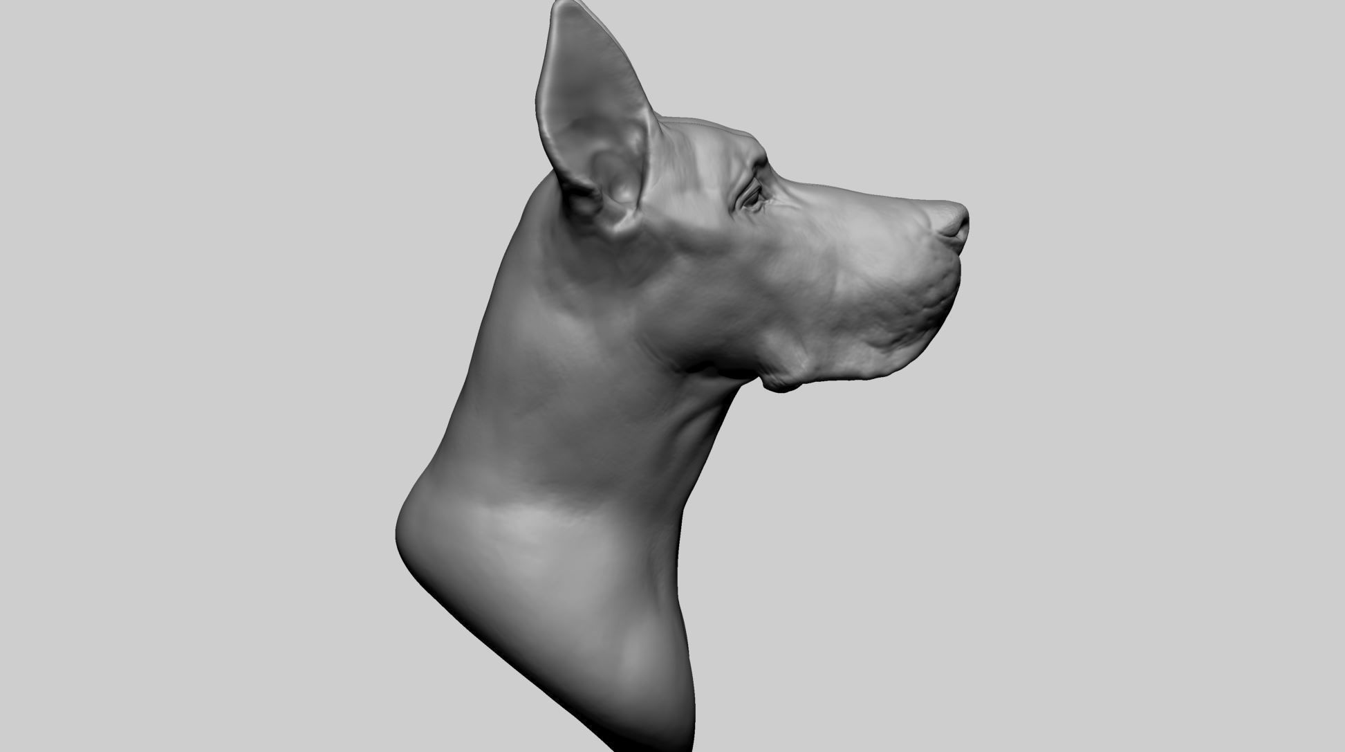 Dog Bust 3D model_2