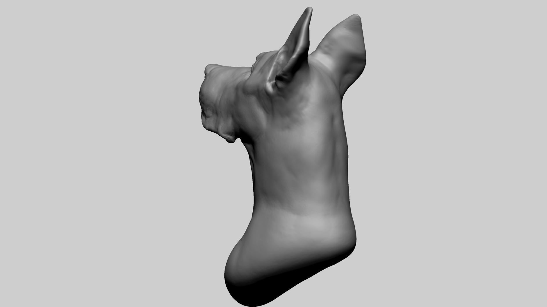 Dog Bust 3D model_5