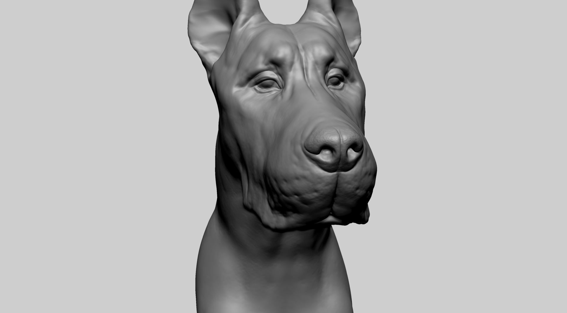 Dog Bust 3D model_8