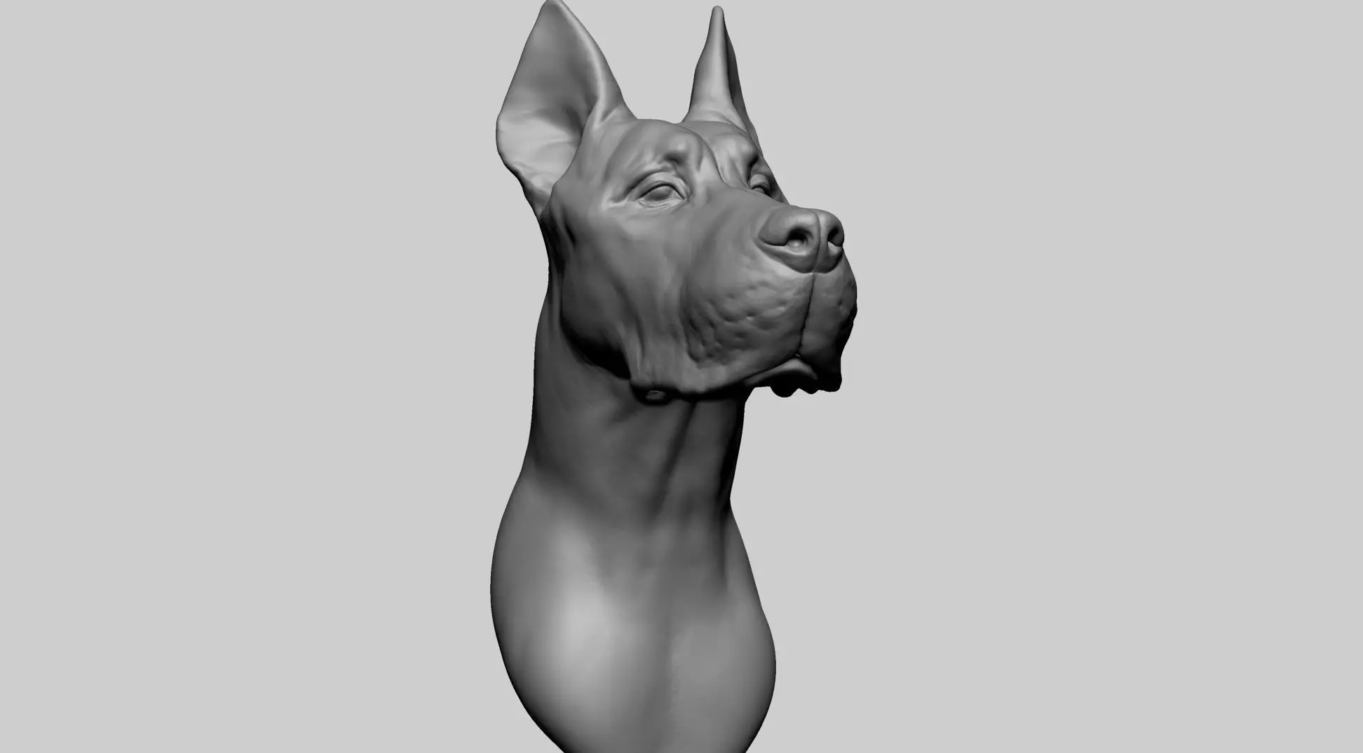 Dog Bust 3D model_0