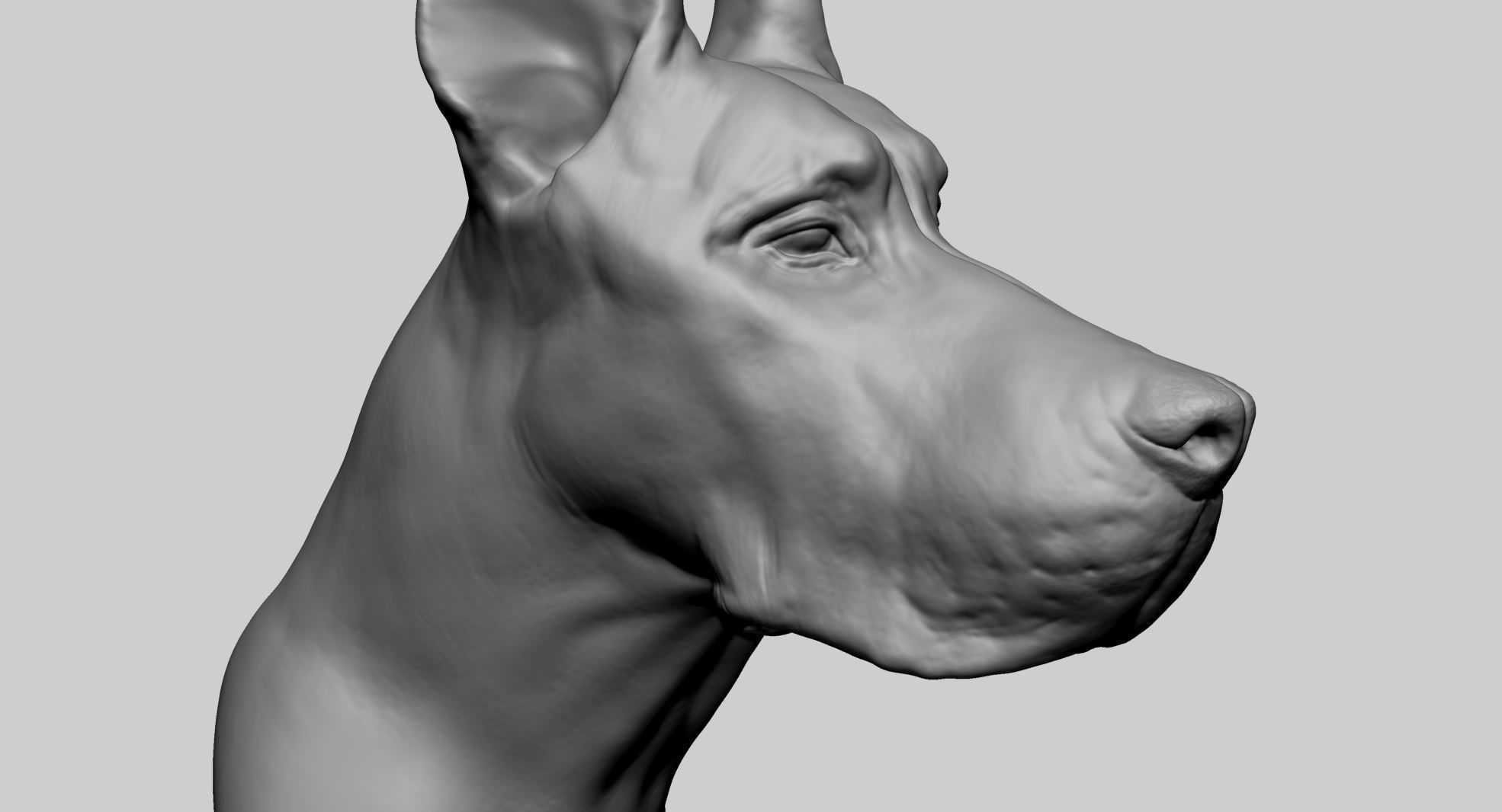 Dog Bust 3D model_9