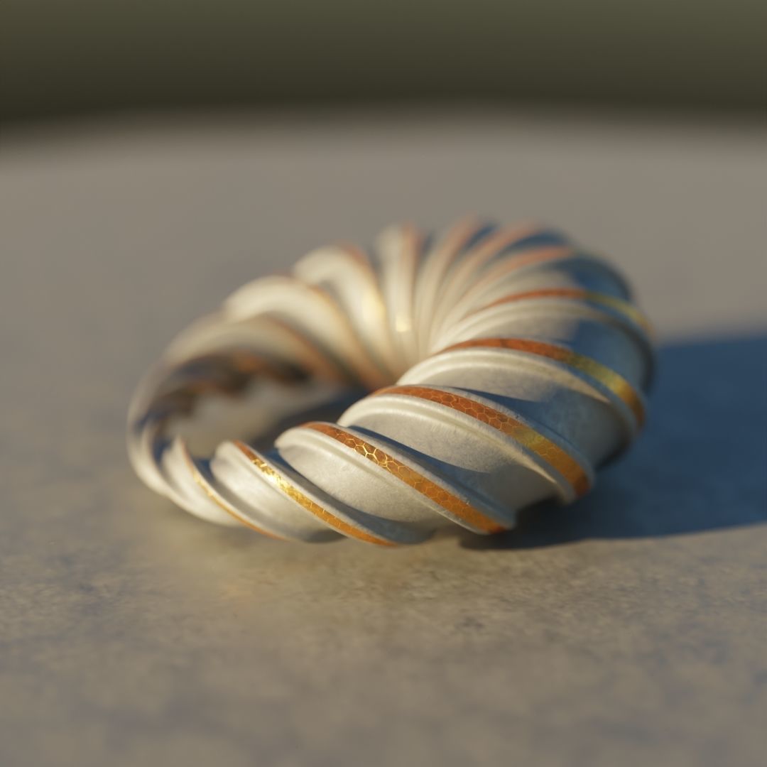 Duplin Cyclide 3D print model_3