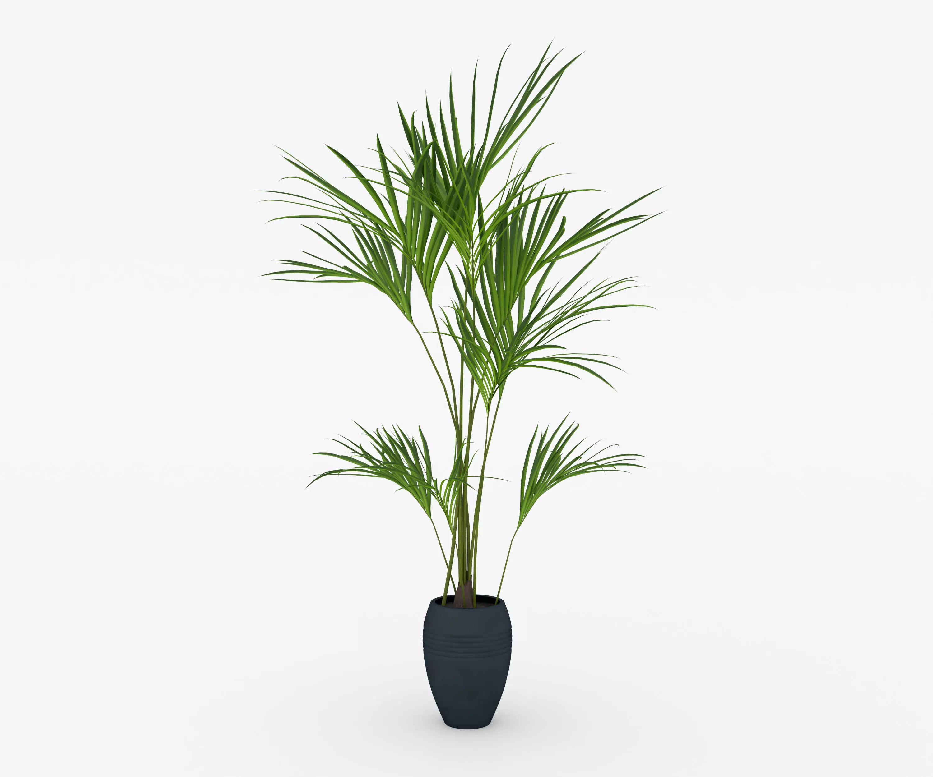 Areca Palm Indoor Plant Free low-poly 3D model_0