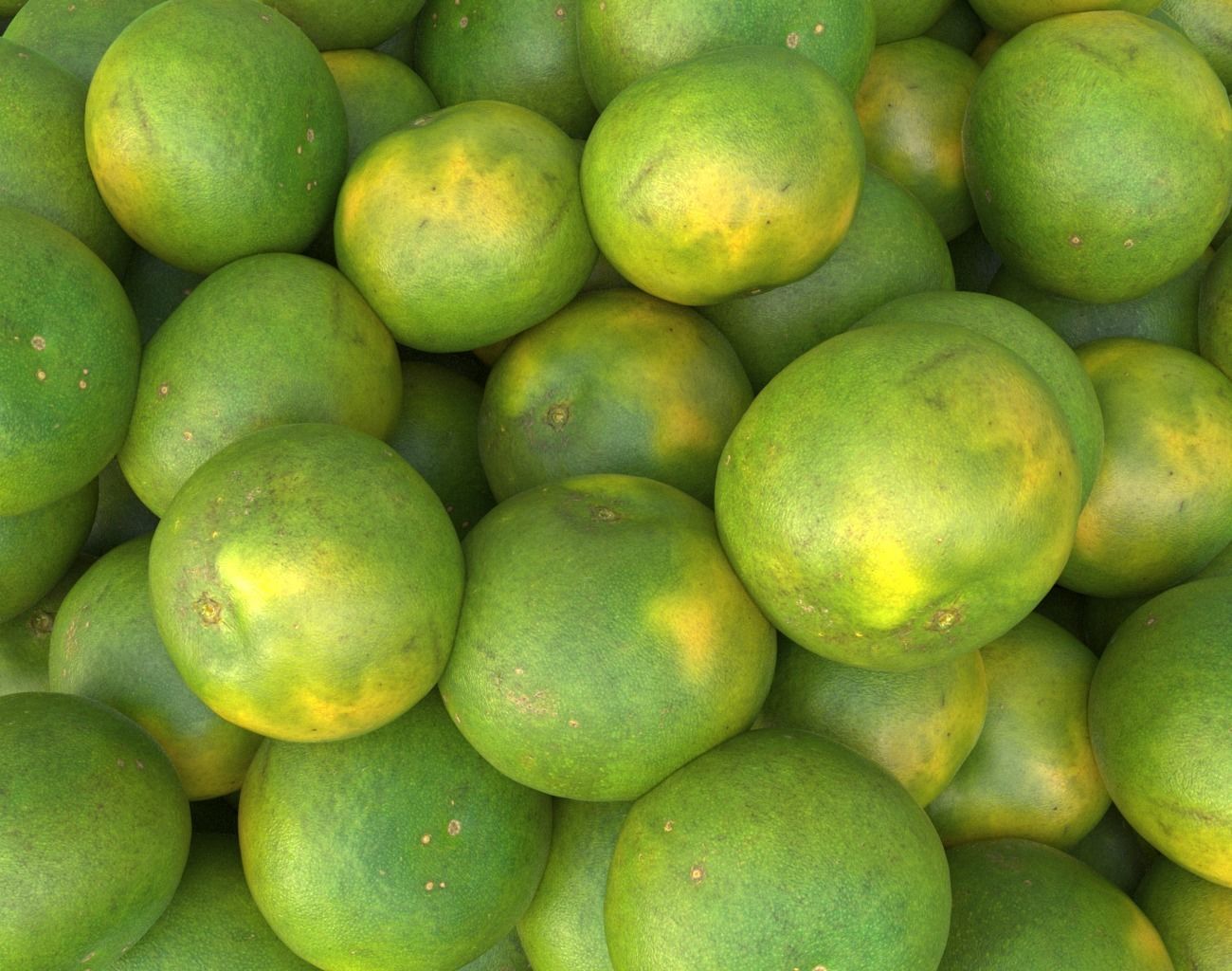 Sweet Lemon Photogrammetry 220424 Low-poly 3D model_10