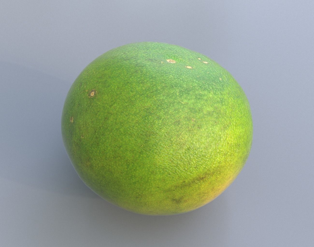 Sweet Lemon Photogrammetry 220424 Low-poly 3D model_9