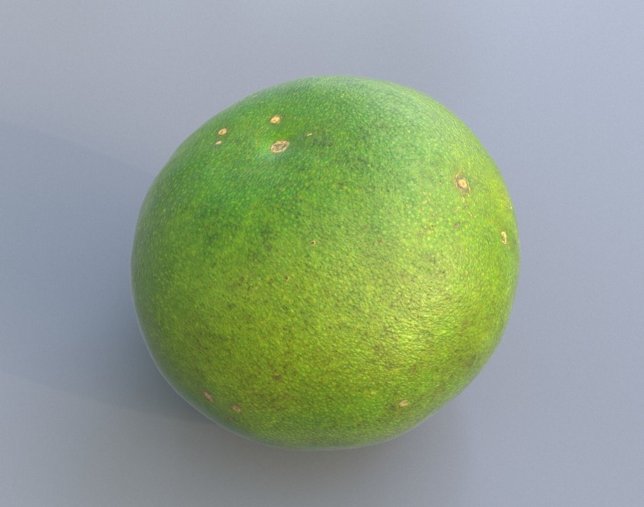 Sweet Lemon Photogrammetry 220424 Low-poly 3D model_8