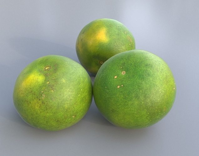Sweet Lemon Photogrammetry 220424 Low-poly 3D model 4