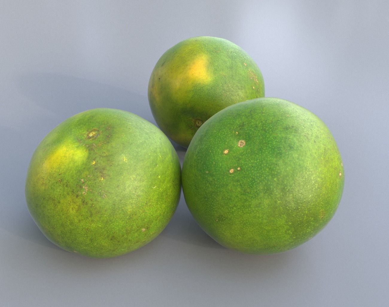 Sweet Lemon Photogrammetry 220424 Low-poly 3D model_3