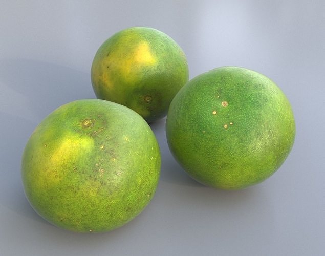 Sweet Lemon Photogrammetry 220424 Low-poly 3D model 3