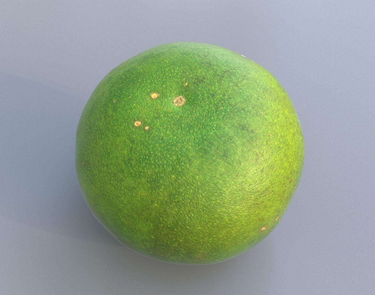 Sweet Lemon Photogrammetry 220424 Low-poly 3D model_7