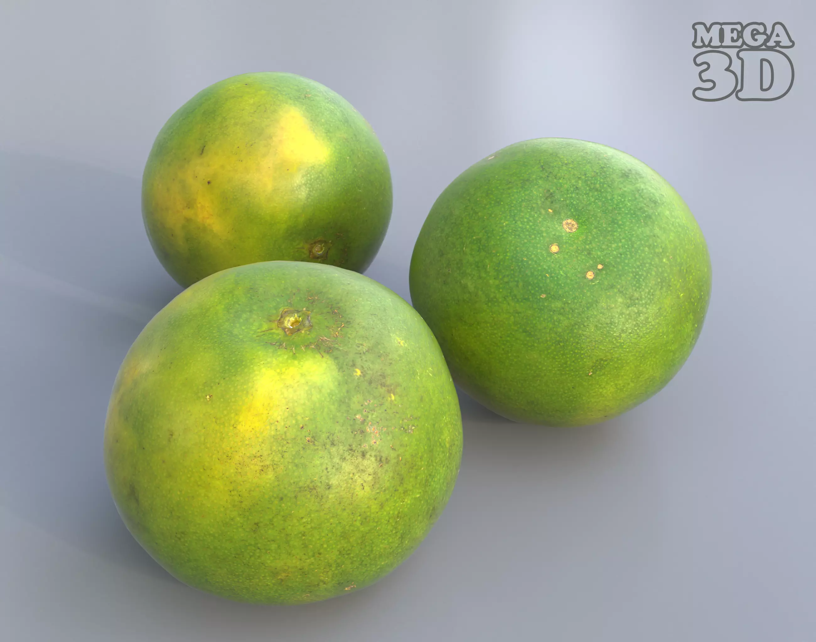 Sweet Lemon Photogrammetry 220424 Low-poly 3D model_0