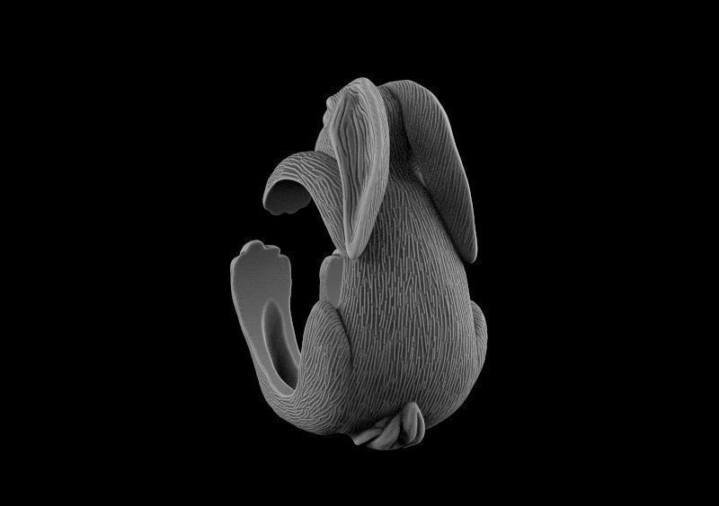 Ring bunny 3d model for 3d printing 3D print model 3D print model_5