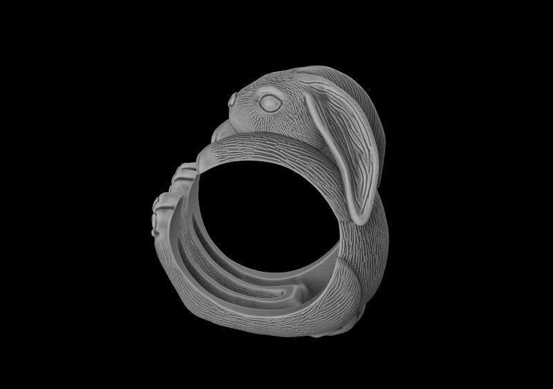 Ring bunny 3d model for 3d printing 3D print model 3D print model_4