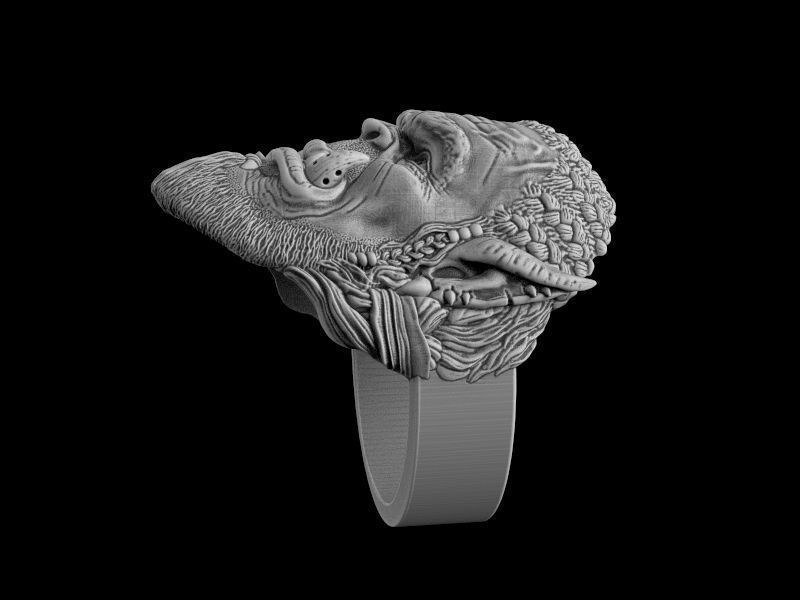 Durotan ring 3d model for 3d printing 3D print model 3D print model_4