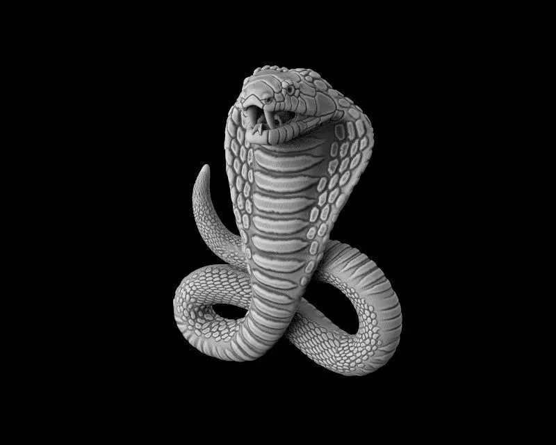 Cobra 3d model for 3d printing 3D print model 3D print model_0