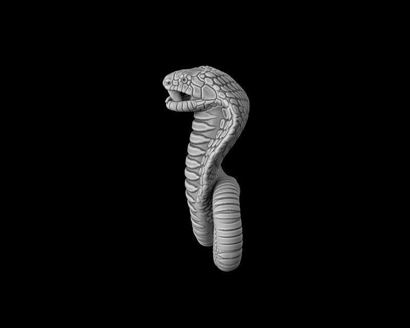 Cobra 3d model for 3d printing 3D print model 3D print model_3