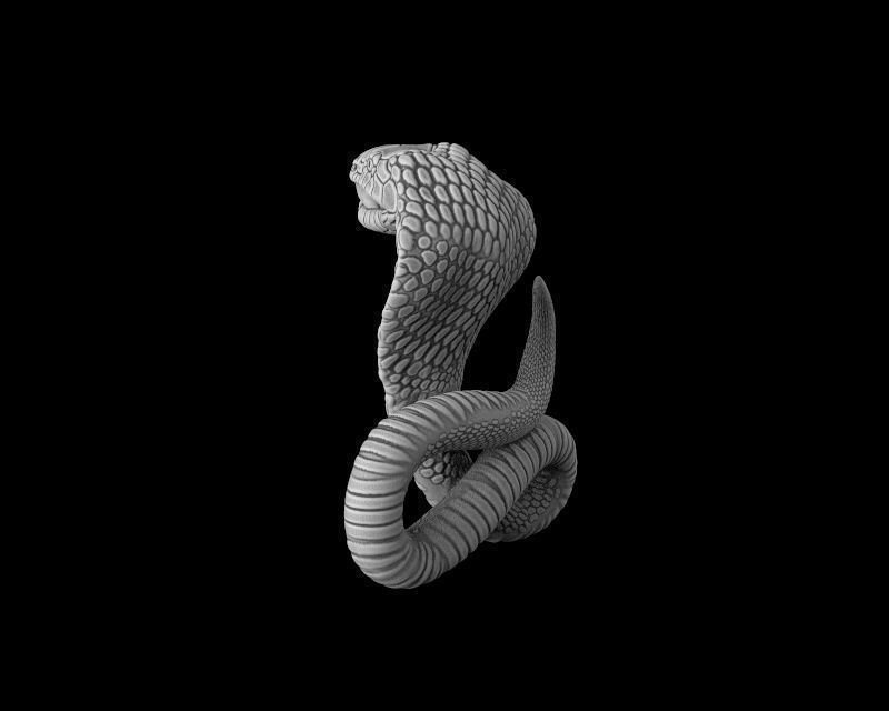 Cobra 3d model for 3d printing 3D print model 3D print model_4