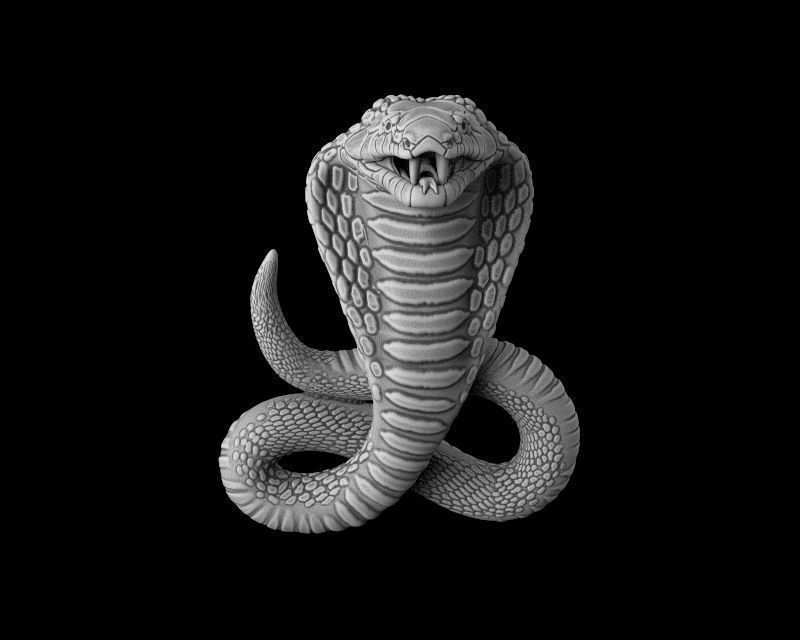 Cobra 3d model for 3d printing 3D print model 3D print model_8