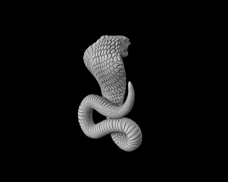 Cobra 3d model for 3d printing 3D print model 3D print model_6