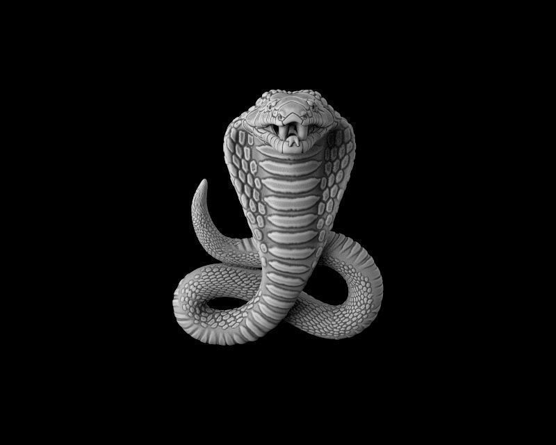 Cobra 3d model for 3d printing 3D print model 3D print model_1