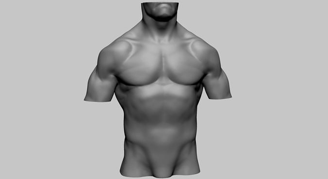 Male Torso A 3D print model