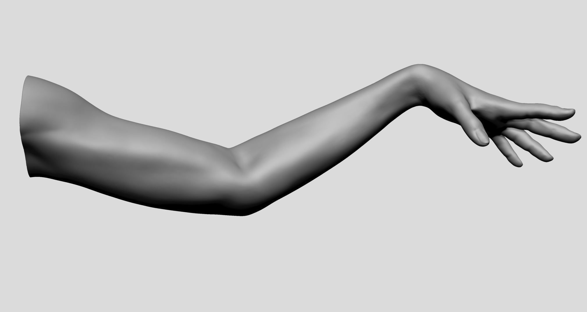Female Arm 3D model_9