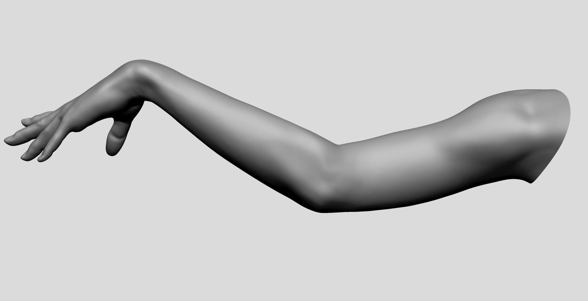 Female Arm 3D model_3