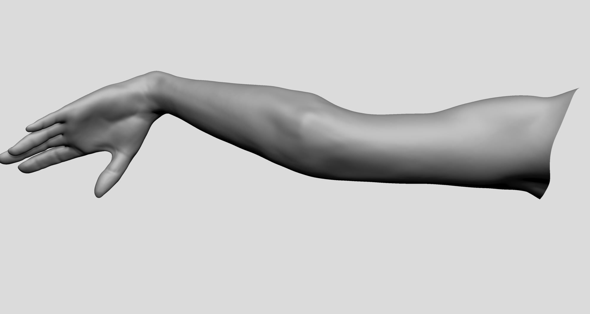 Female Arm 3D model_7
