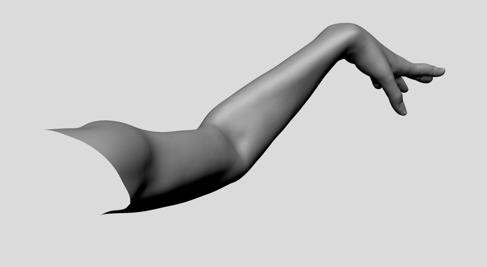 Female Arm 3D model_1