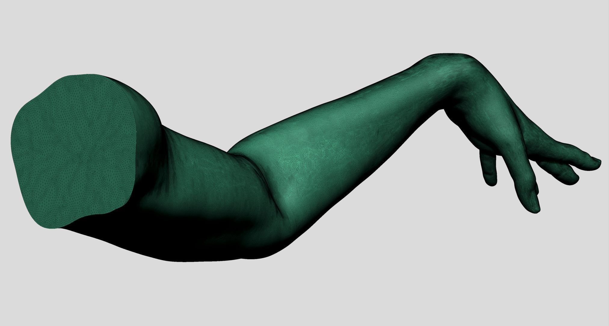 Female Arm 3D model_17