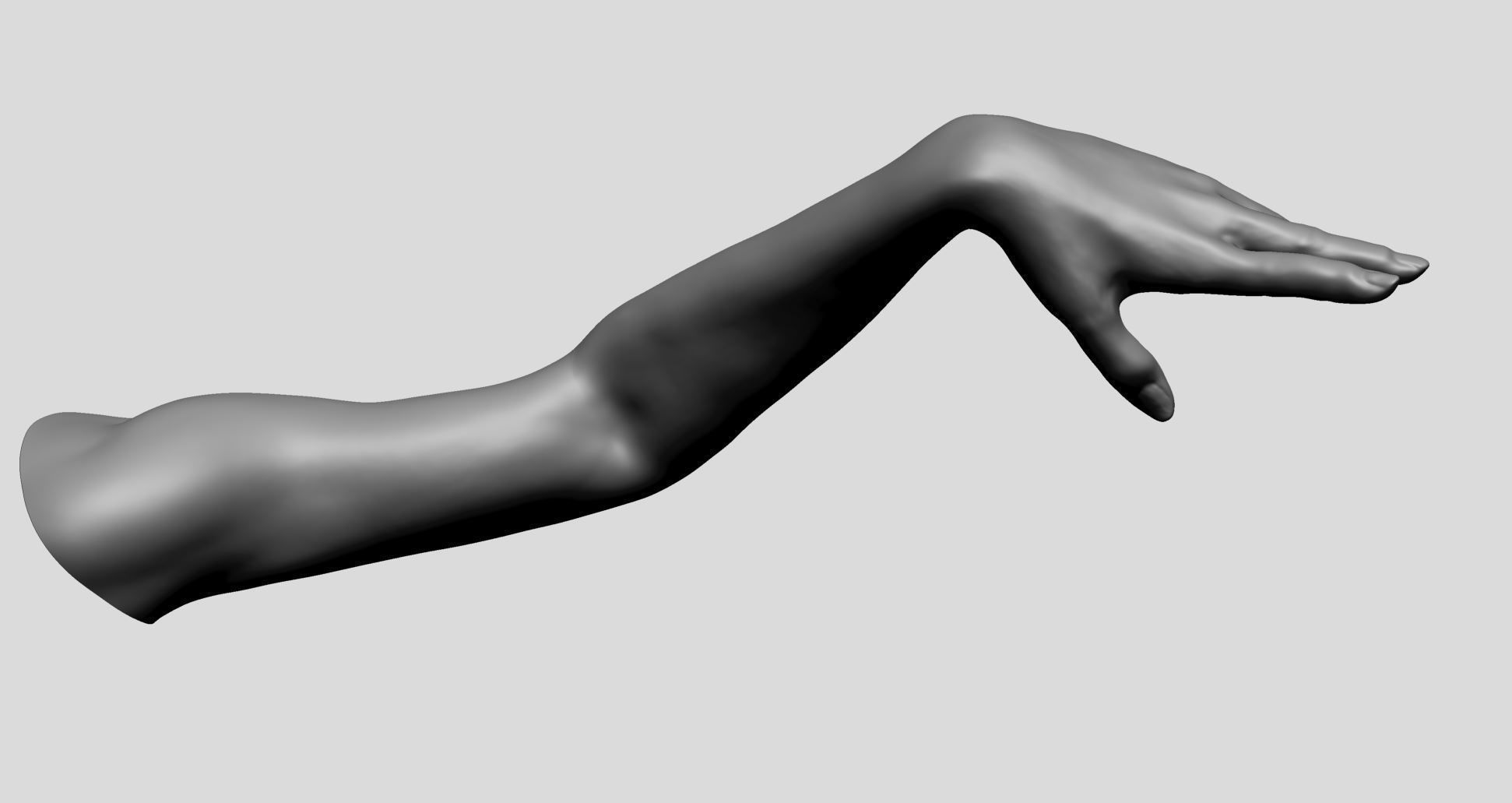 Female Arm 3D model_5