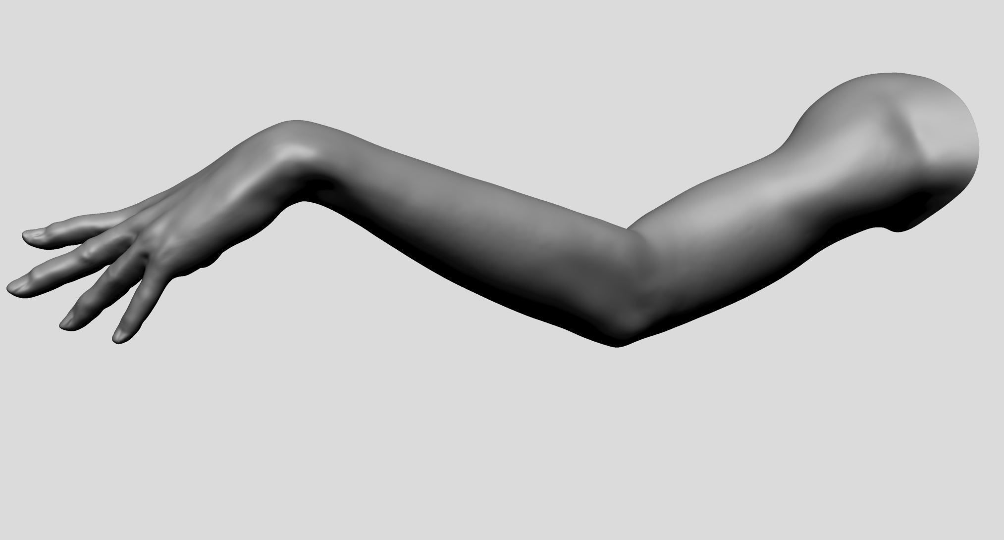 Female Arm 3D model_4