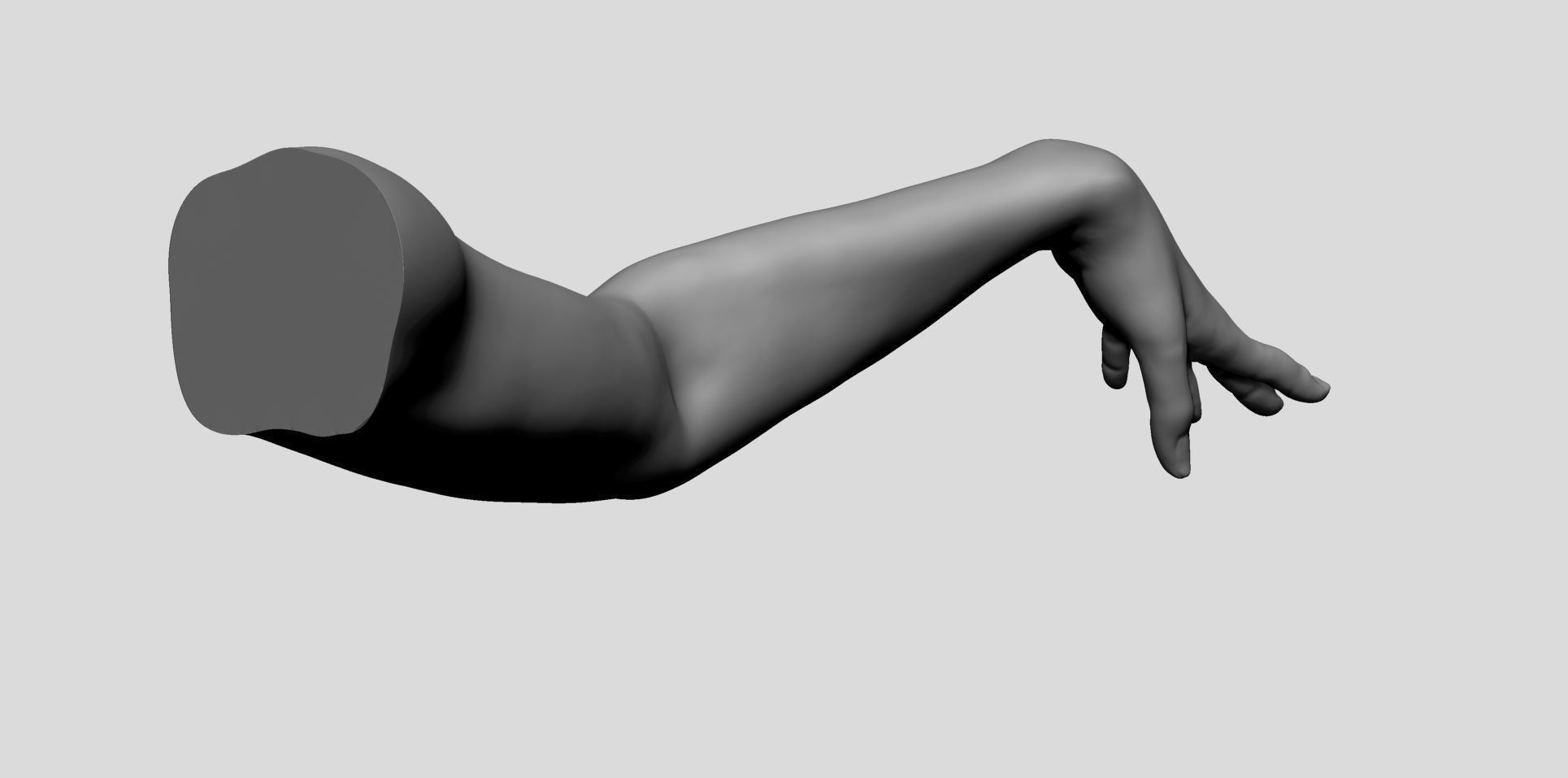 Female Arm 3D model_8
