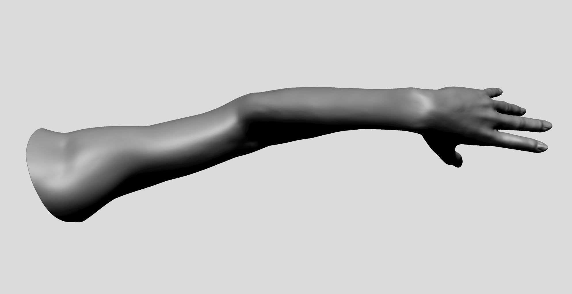Female Arm 3D model_6