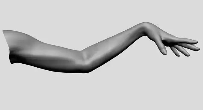 Female Arm 3D model Female Arm 3D model